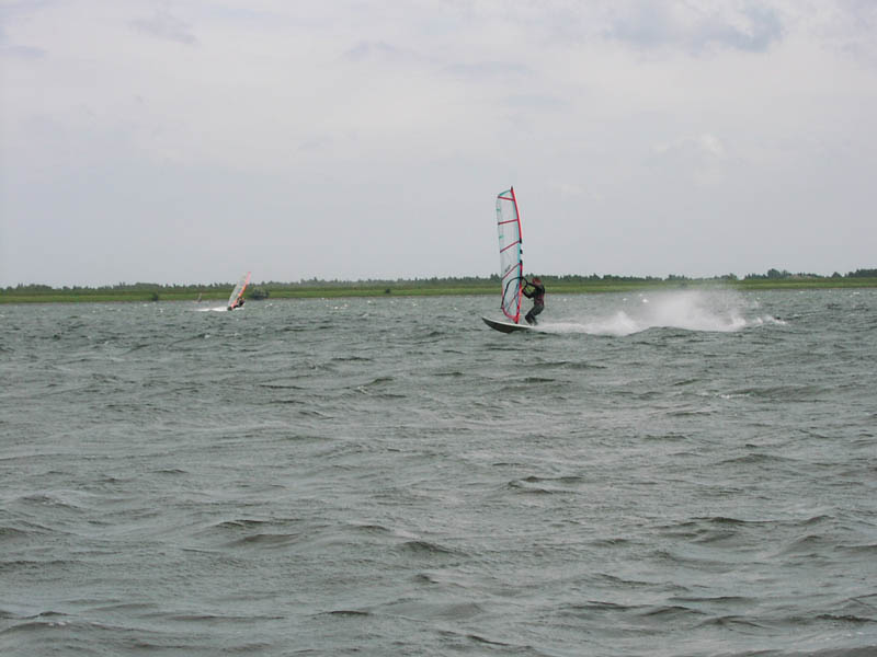 Tue Hansen 2